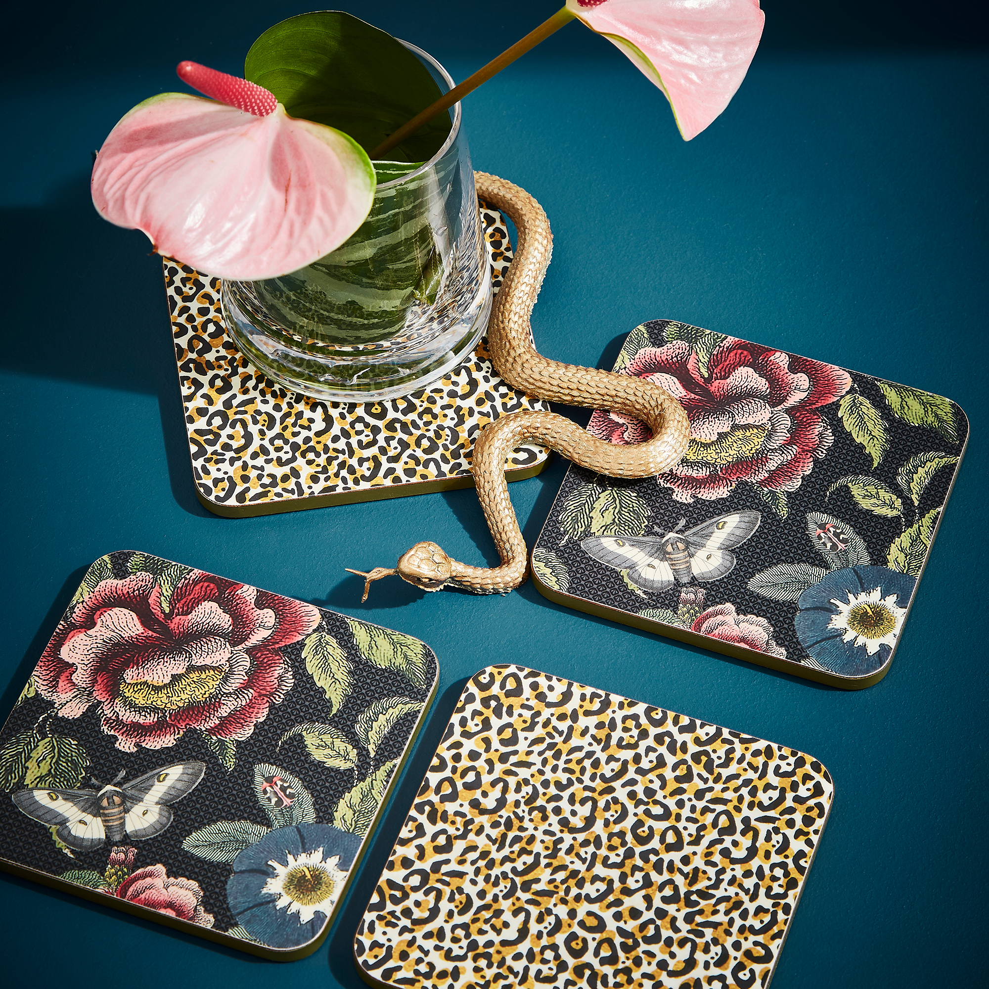 Creatures of Curiosity Set of 4 Coasters image number null